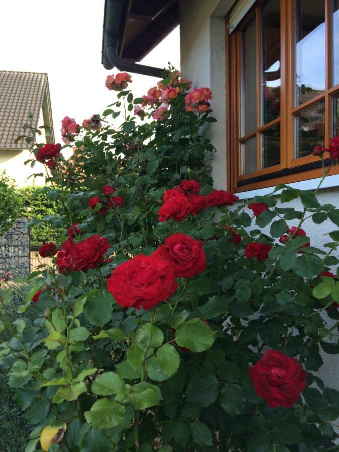 Raben Steinfeld Ferienwohnung Stoerblick Schwerin מראה חיצוני תמונה